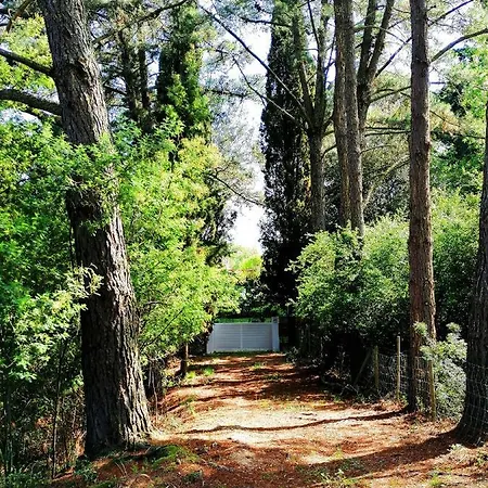 Costa Brava & Garden Apartment *